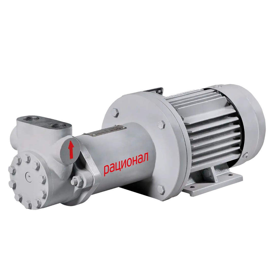 Rz-F 25-6/60-3/4 - изображение